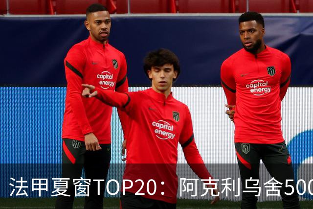 法甲夏窗TOP20：阿克利乌舍5000万欧成标王，费兰4850万欧第二